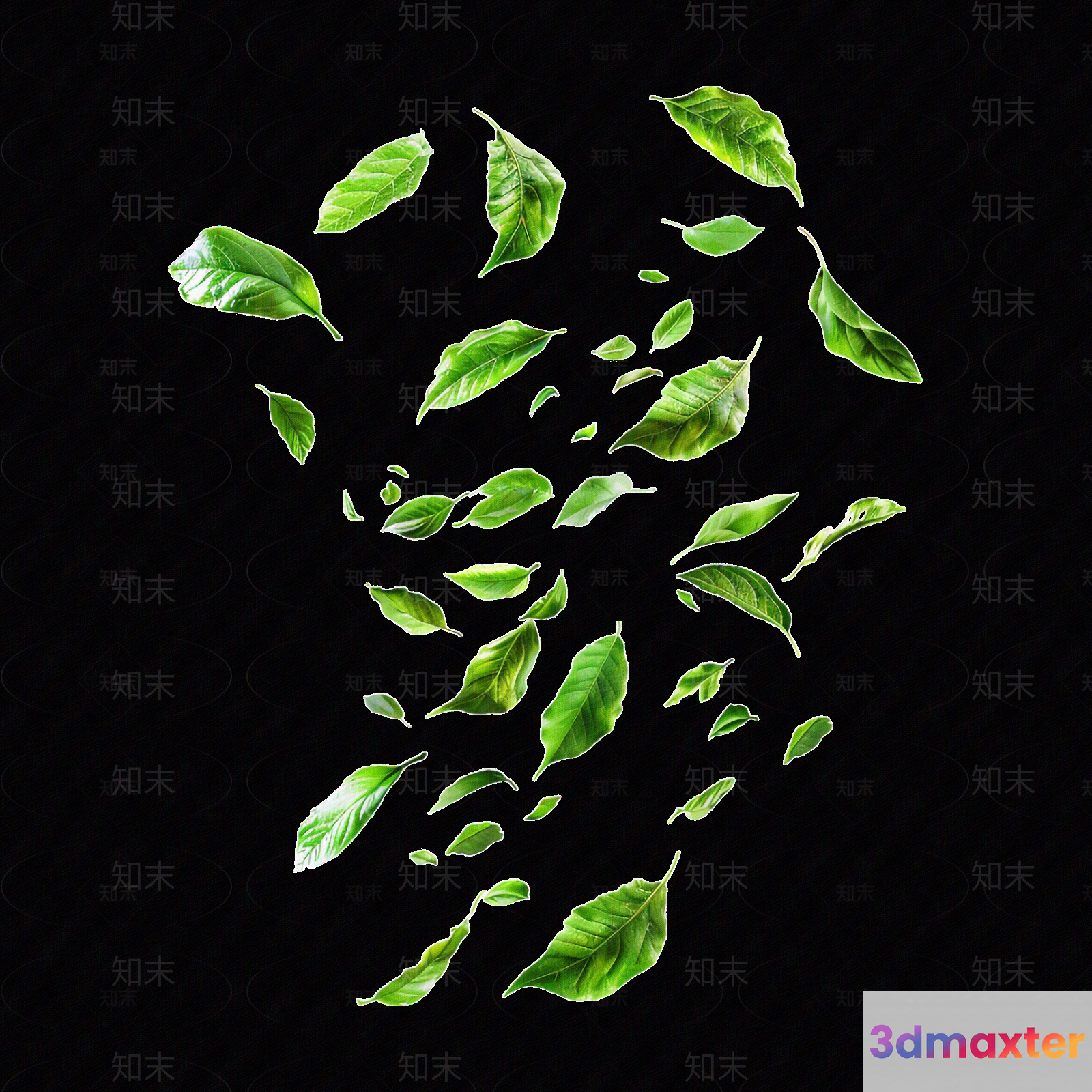 A Collection Of Green Leaves 3D Model - 14292 - VRAY Render