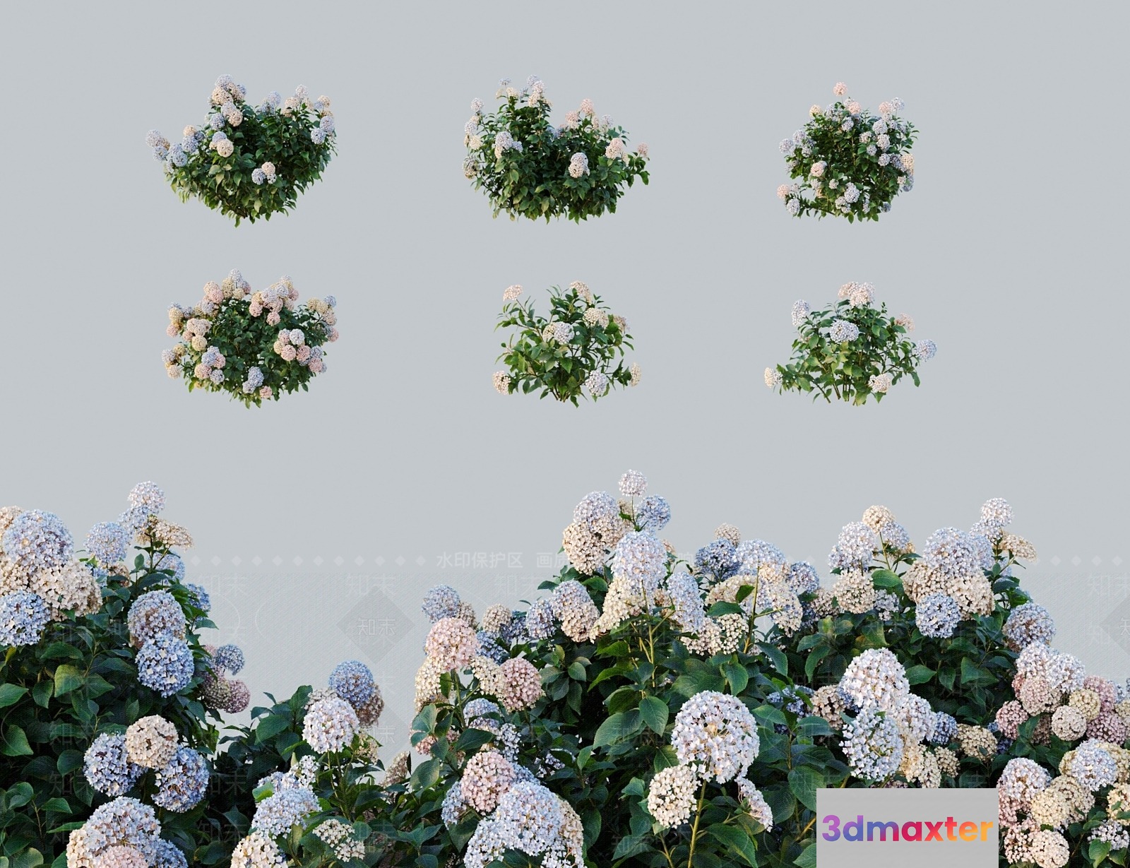 Flowers With Green Leaves 3D Model - 3805 - VRAY Render