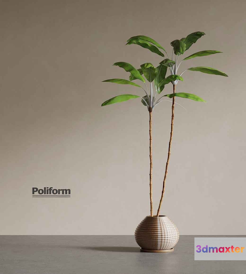 A Plant In A Vase 3D Model - 9025 - VRAY Render