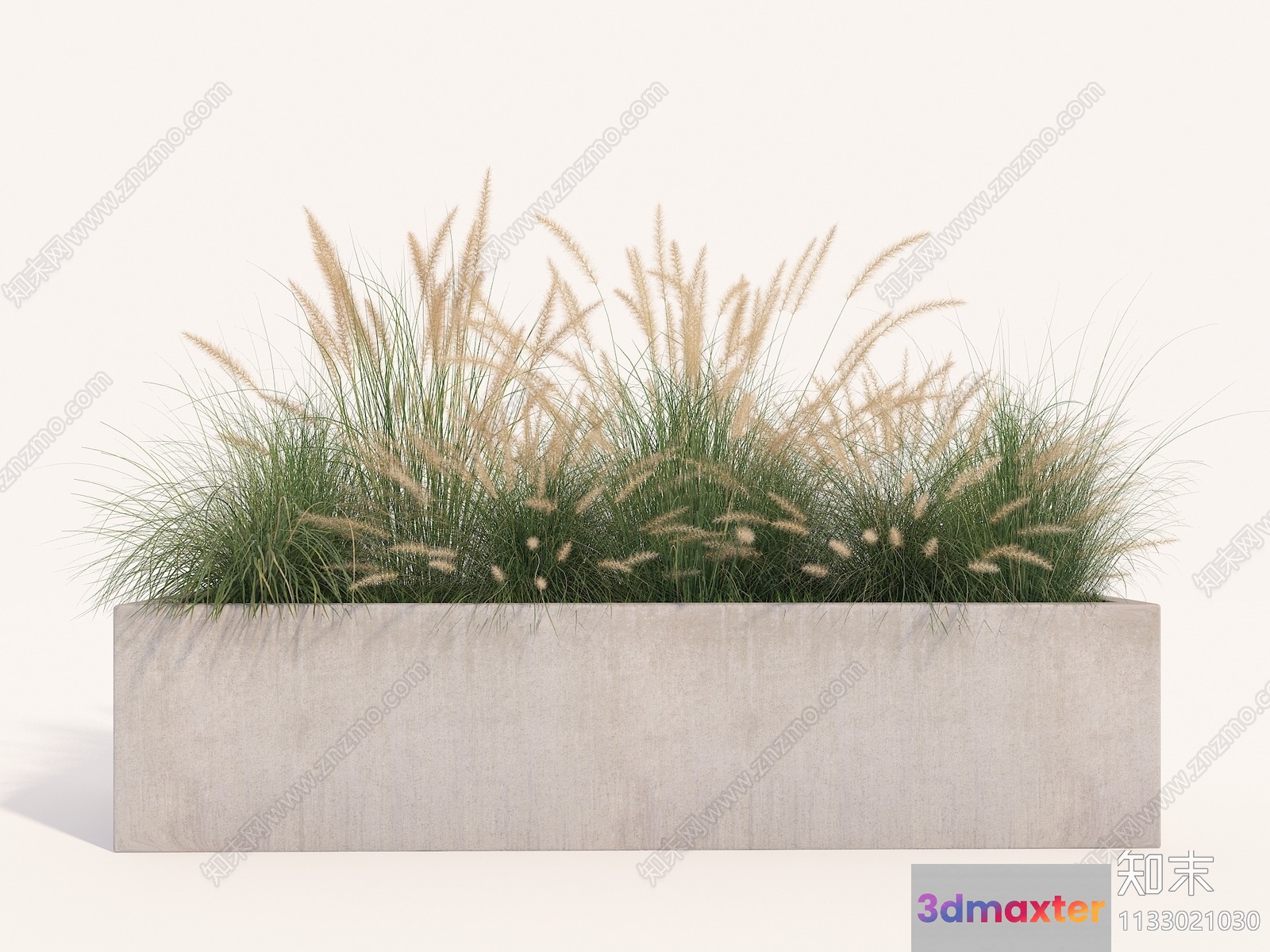A Rectangular Concrete Planter With Green And Yellow Grass 3D Model - 11185 - VRAY Render