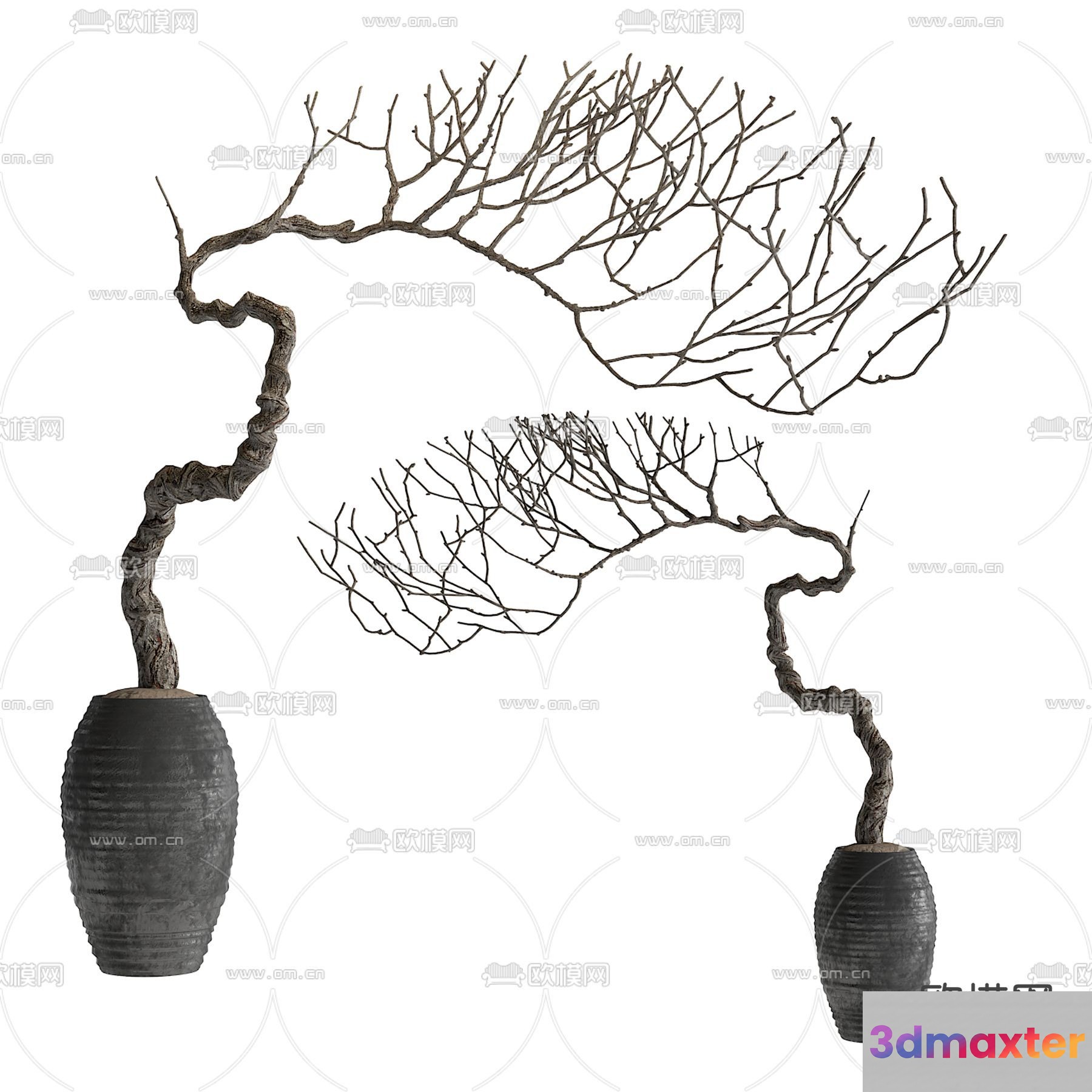 A Decorative Tree In A Pot 3D Model - 1240 - VRAY Render