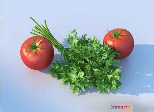 Two Tomatoes And A Bunch Of Parsley 3D Model - 13001 - VRAY Render