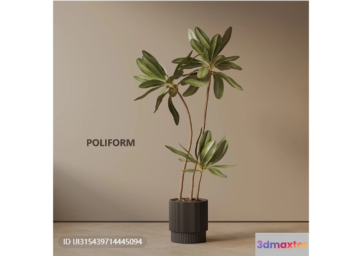 A Plant In A Pot 3D Model - 7818 - VRAY Render