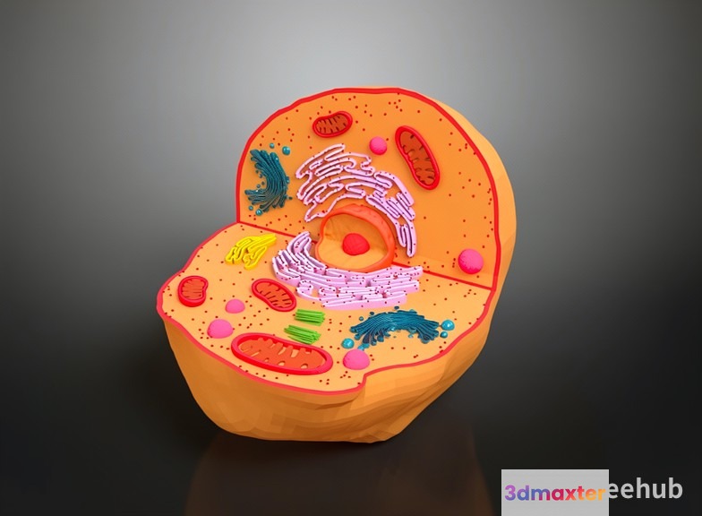 A 3D Model Of A Cell 3D Model - 19919 - VRAY Render