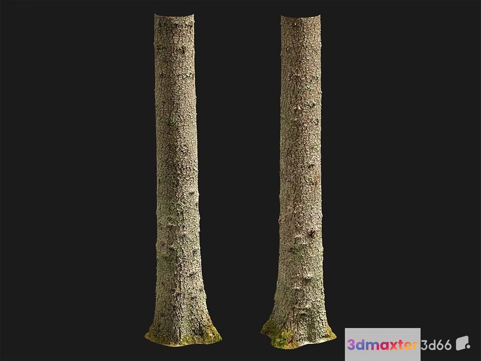 A Pair Of Tree Trunks 3D Model - 22735 - VRAY Render
