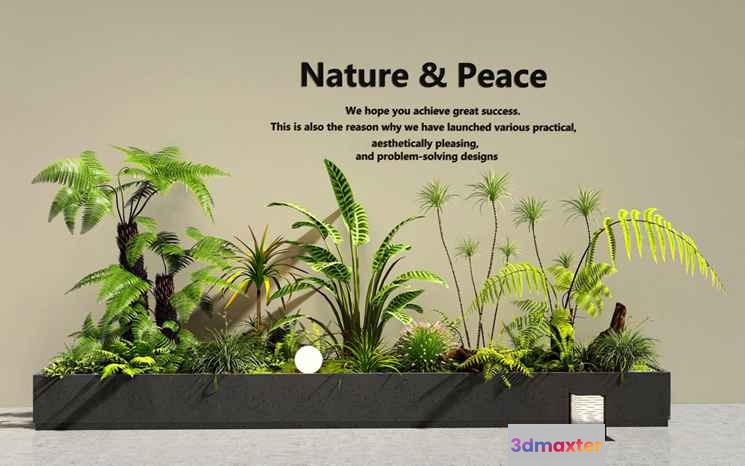 A Large Indoor Planter Box Filled With Various Plants 3D Model - 22506 - VRAY Render