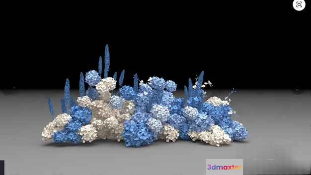Blue And White Flowers 3D Model - 9760 - VRAY Render
