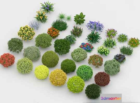 Small Colorful Plants 3D Model - 14345 - VRAY Render