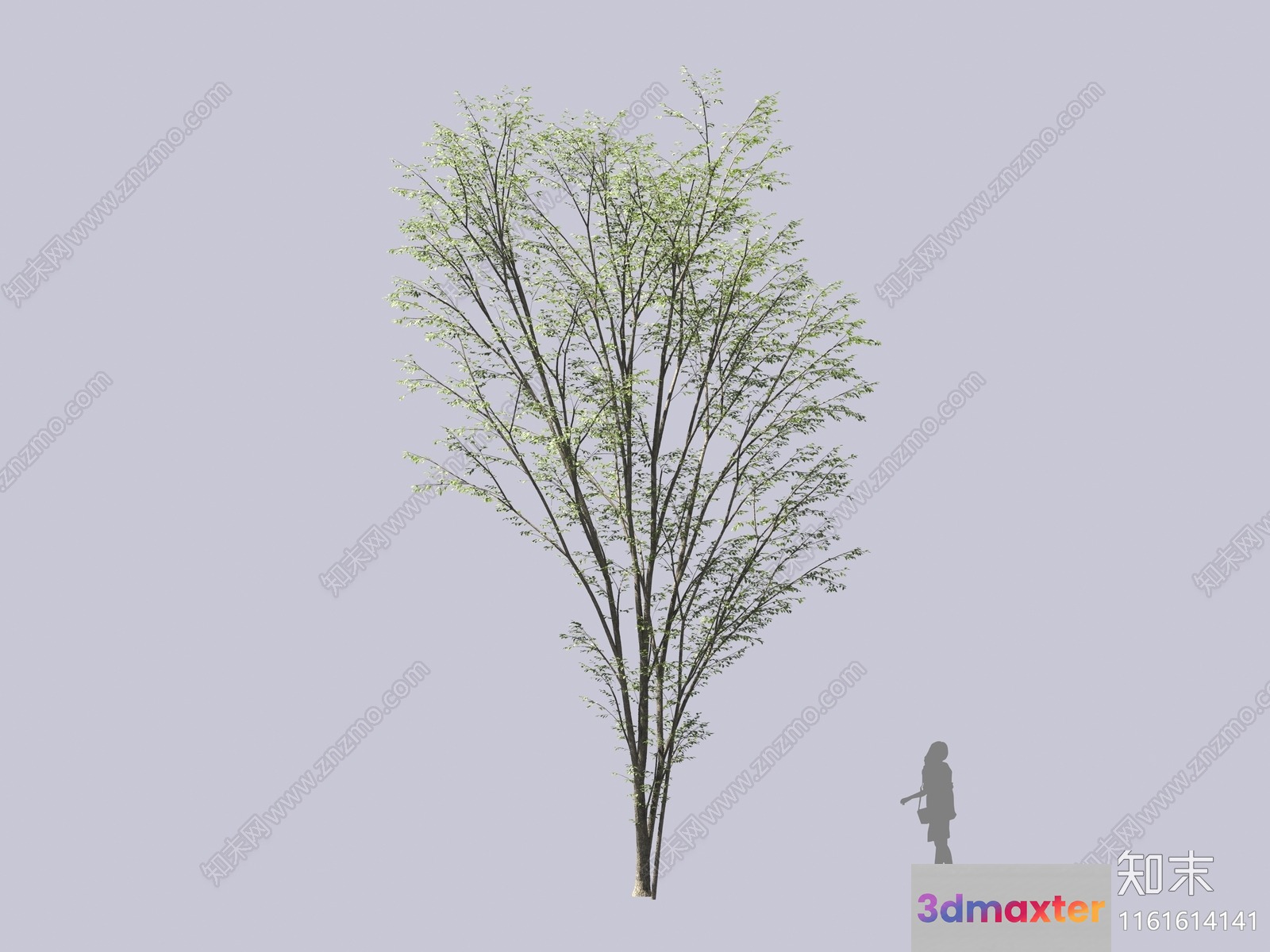 A Tree With A Woman Standing Next To It 3D Model - 16586 - VRAY Render