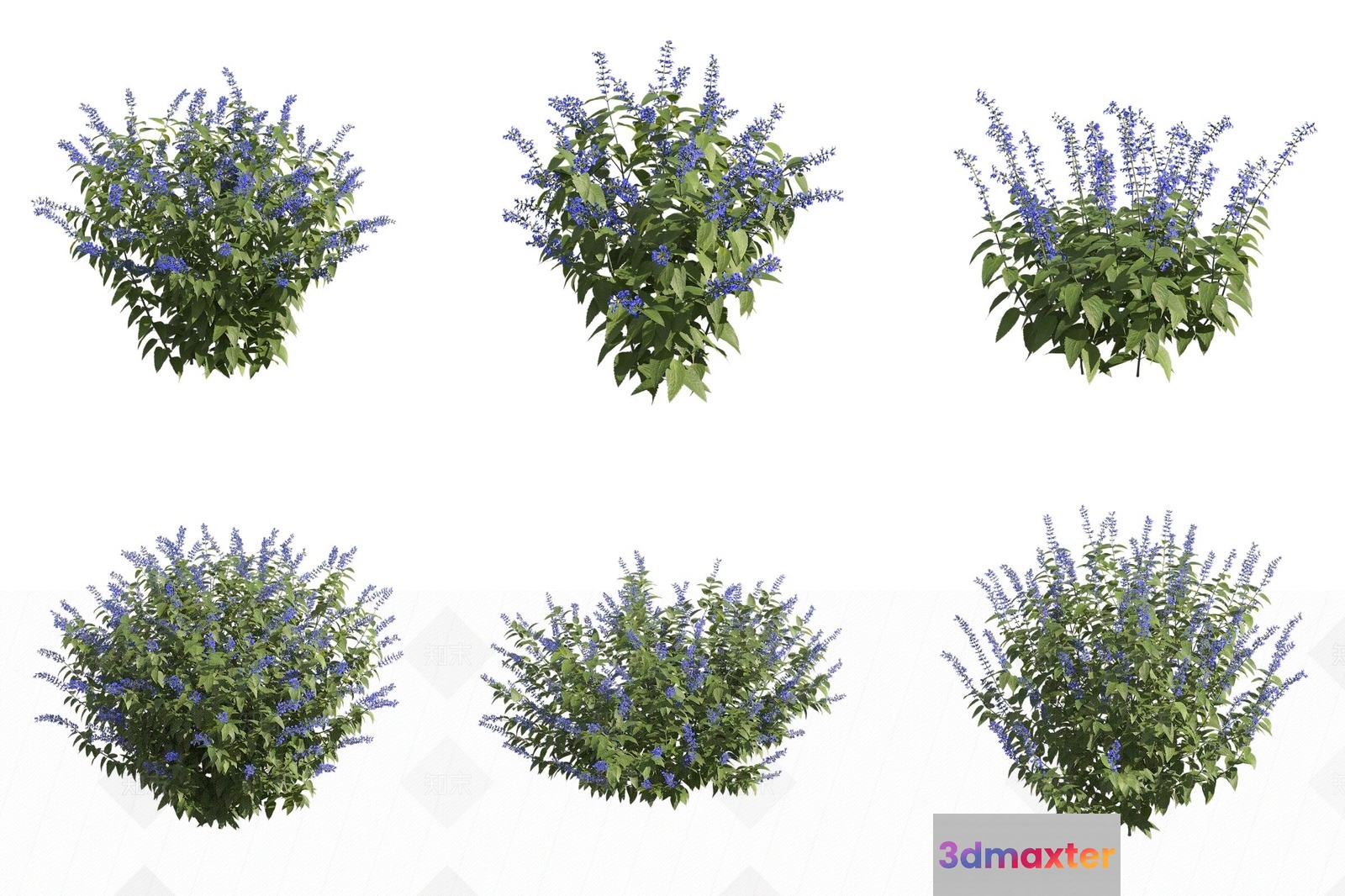 Floral Arrangement With Purple Flowers 3D Model - 11542 - VRAY Render