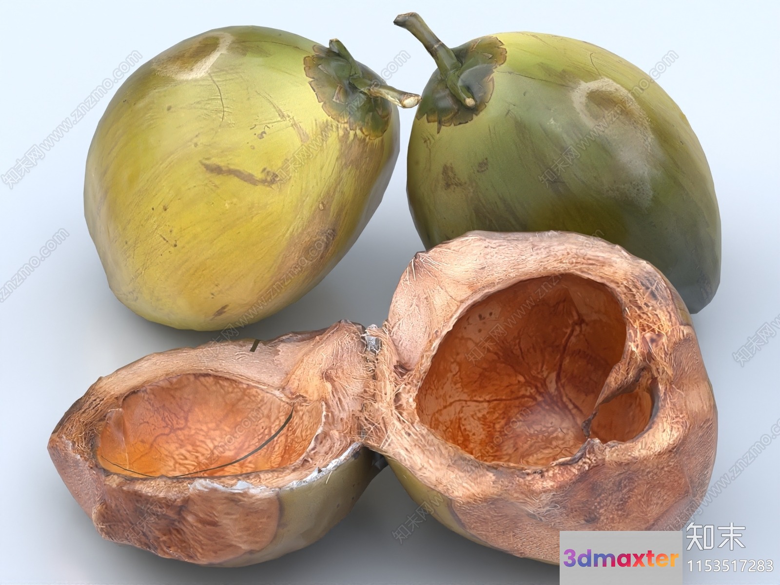 Coconuts 3D Model - 13668 - VRAY Render