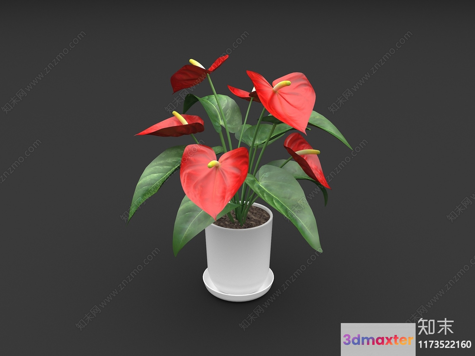 A Potted Plant With Red Flowers 3D Model - 683 - VRAY Render