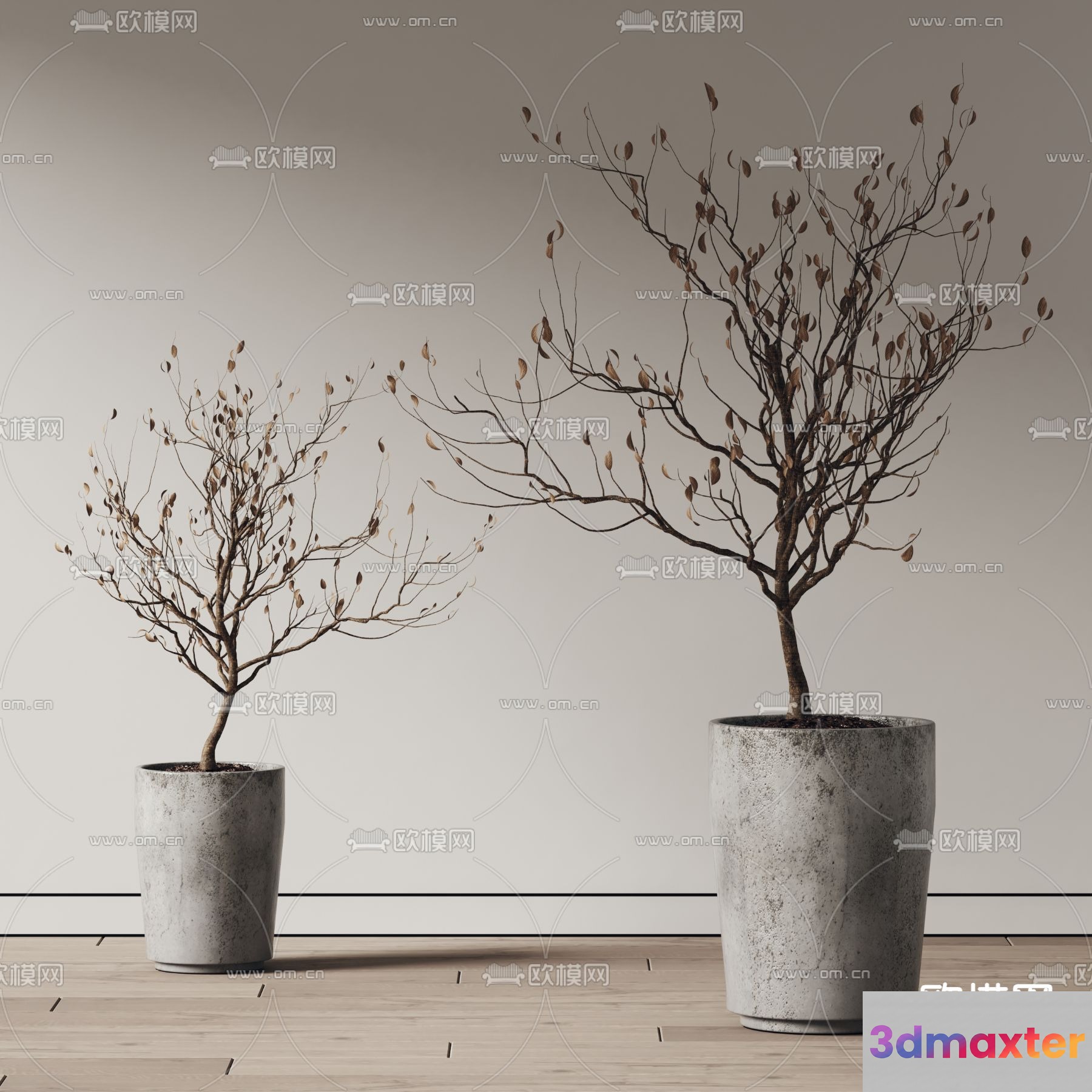Two Potted Plants 3D Model - 10345 - VRAY Render