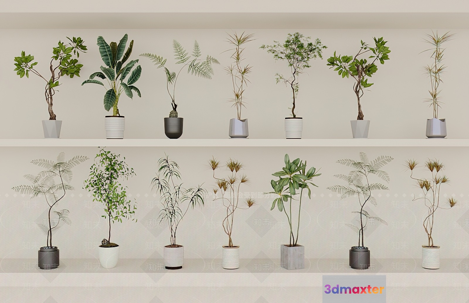 Potted Plants On Shelves 3D Model - 13685 - VRAY Render