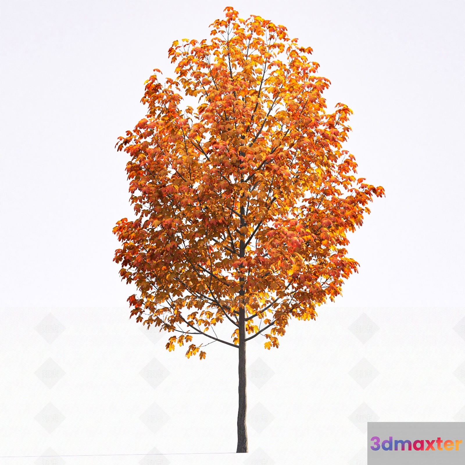 A Tall Tree With Orange Leaves 3D Model - 4114 - VRAY Render