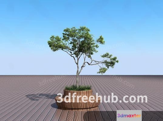 A Tree In A Pot 3D Model - 21584 - VRAY Render