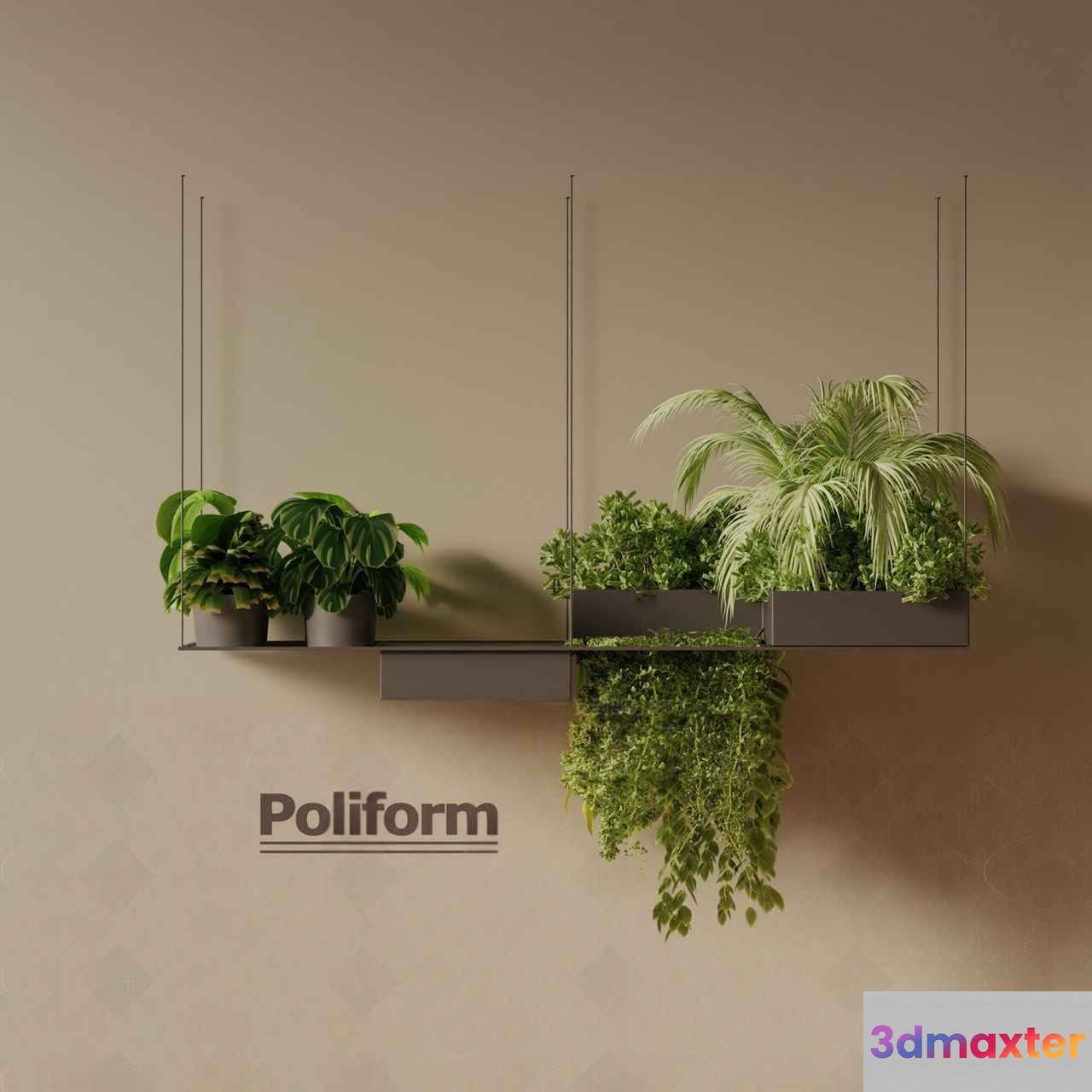 Poliform Planters With Hanging Plants 3D Model - 14297 - VRAY Render