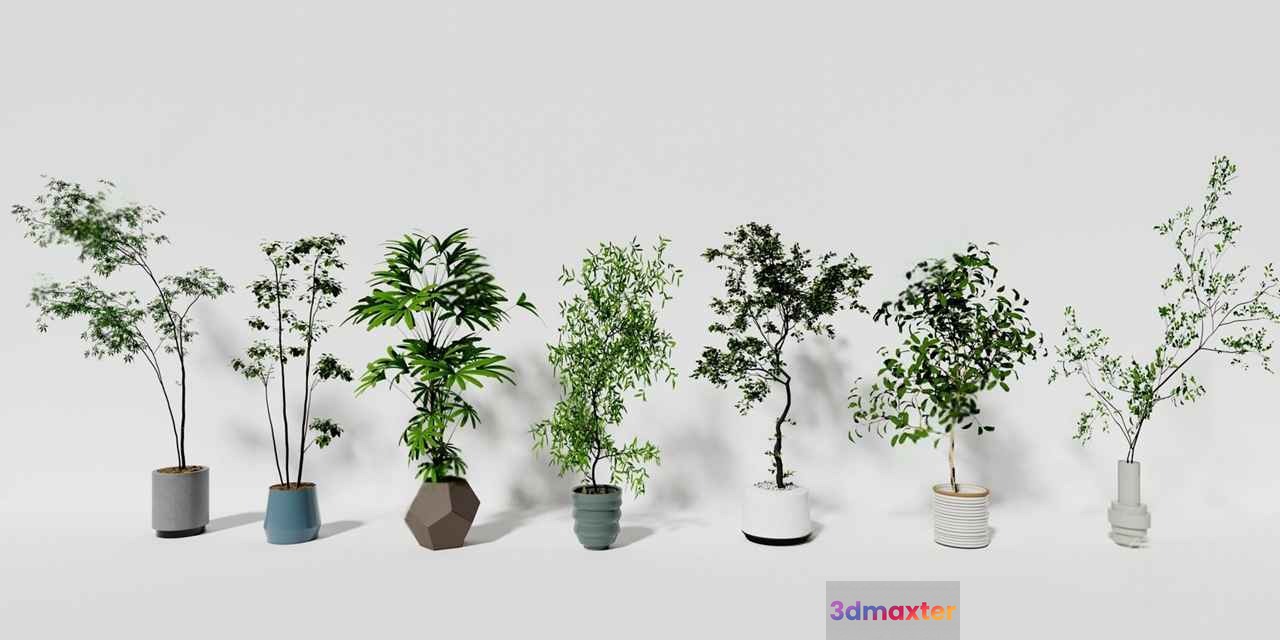 Green Potted Plants 3D Model - 13798 - CORONA Render