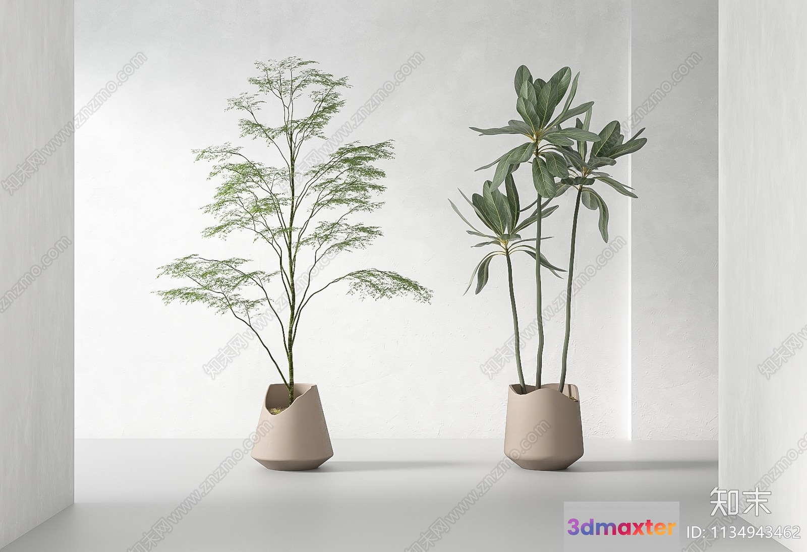 Two Potted Plants 3D Model - 1470 - VRAY Render