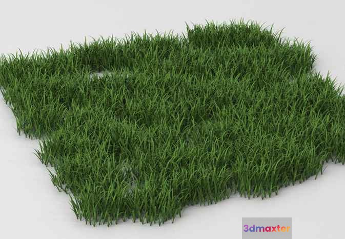 Green Grass Patch 3D Model - 6789 - VRAY Render