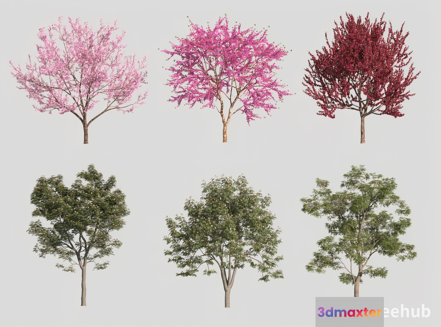 A Collection Of Trees 3D Model - 22983 - VRAY Render