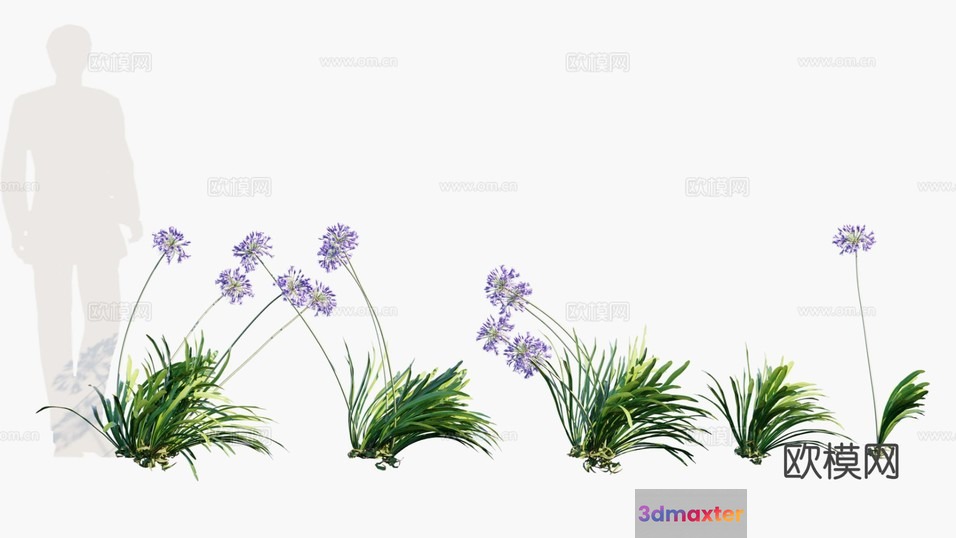 Purple Flowers And Green Grass 3D Model - 3773 - VRAY Render