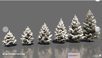 Three Snow-Covered Trees 3D Model - 7686 - VRAY Render