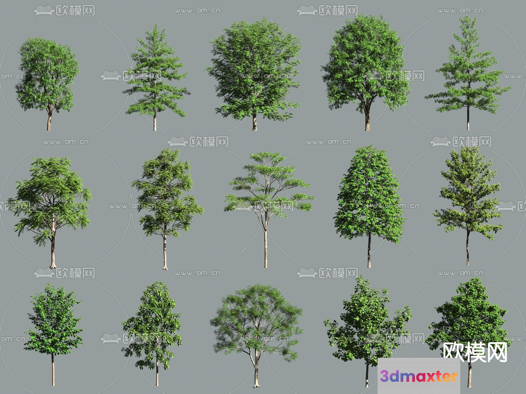 A Collection Of Trees 3D Model - 12203 - VRAY Render