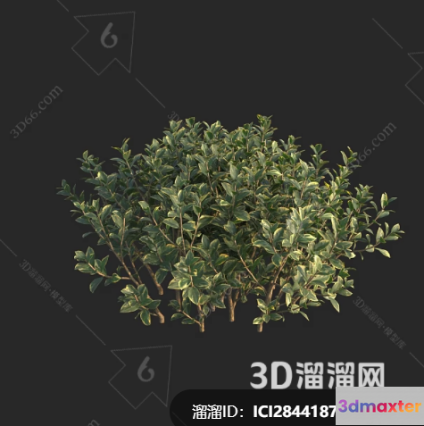 A 3D Illustration Of A Green Plant 3D Model - 22325 - VRAY Render