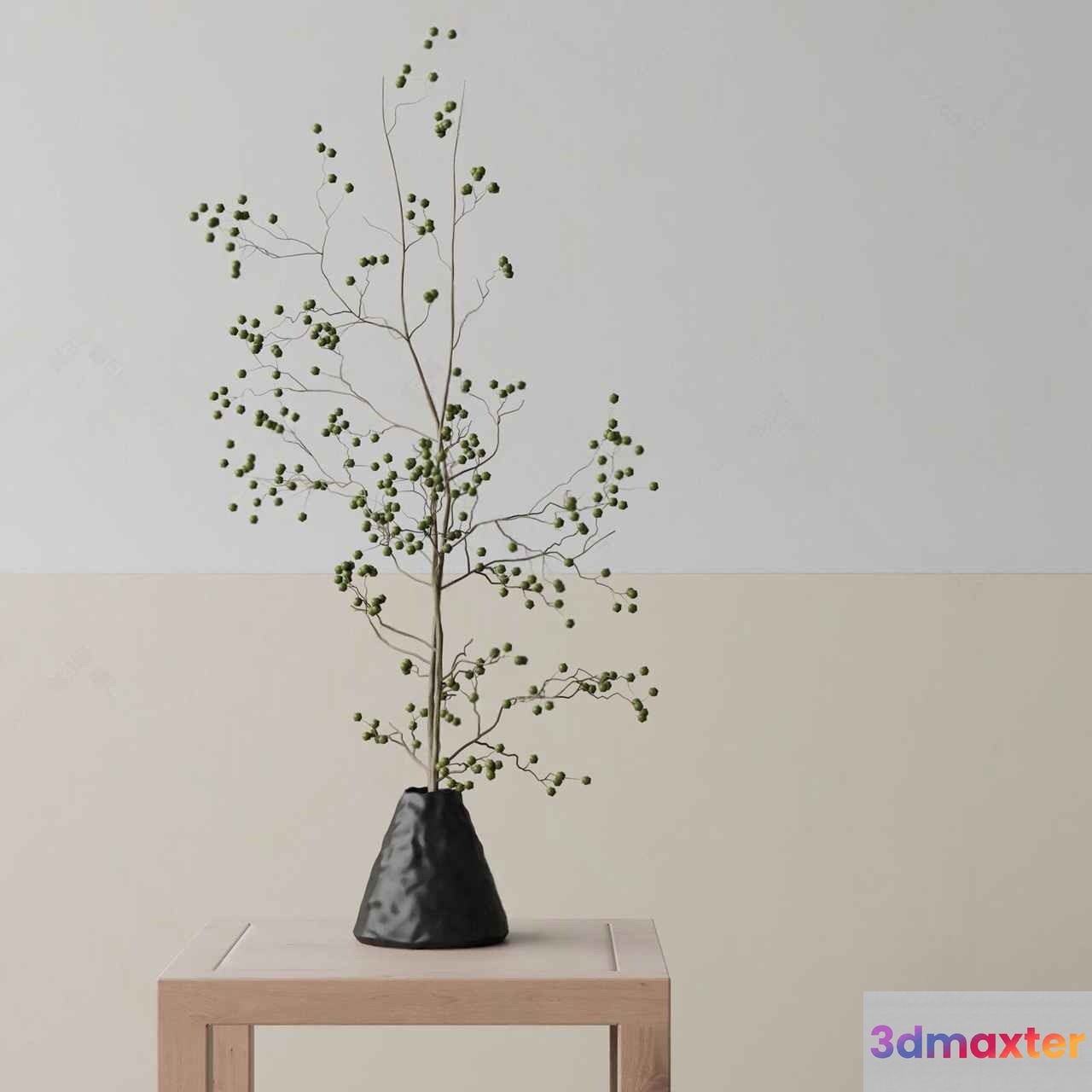 Black Ceramic Vase With A Plant 3D Model - 4057 - VRAY Render