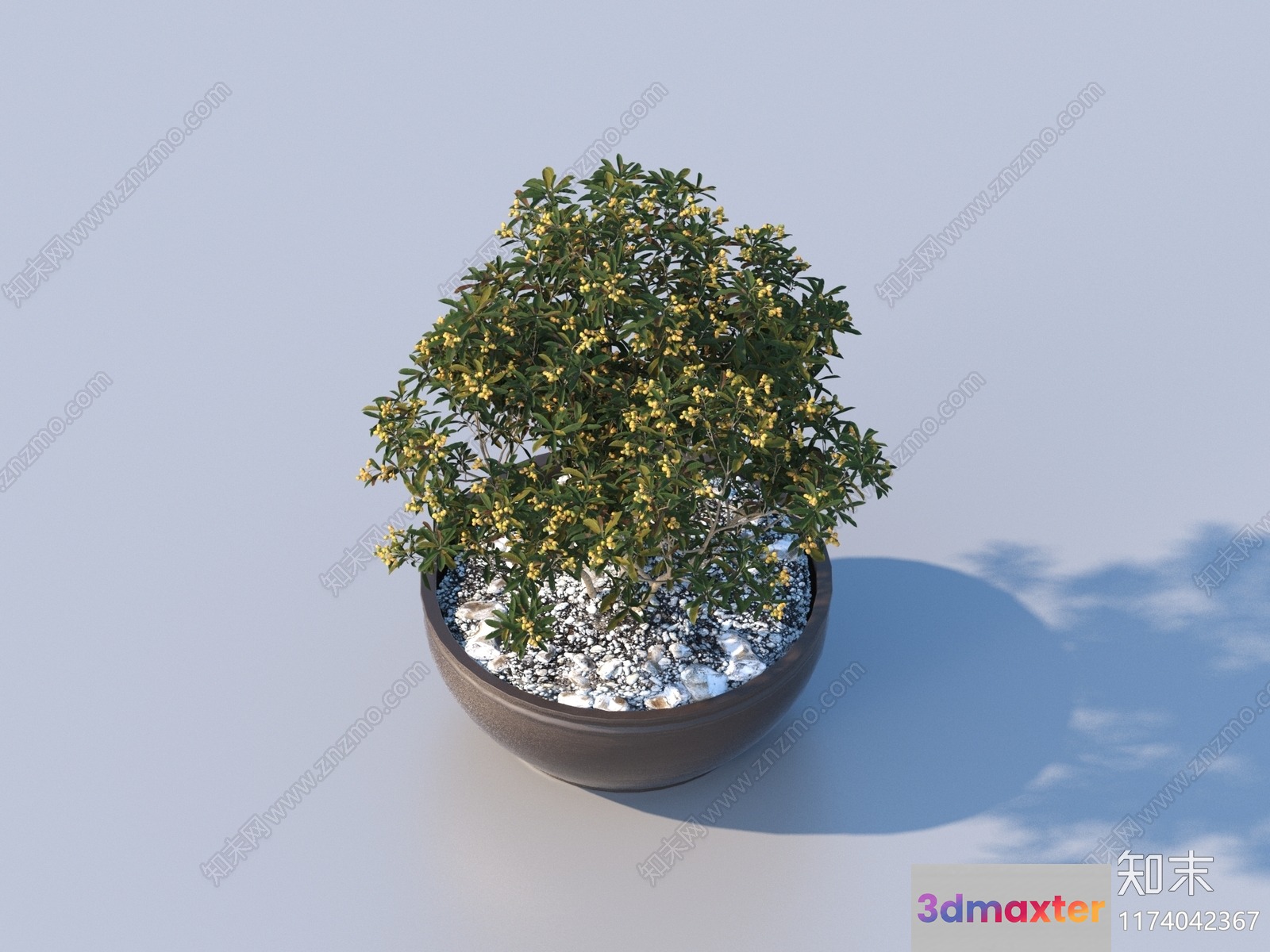 A Potted Plant With Yellow Flowers 3D Model - 13995 - VRAY Render