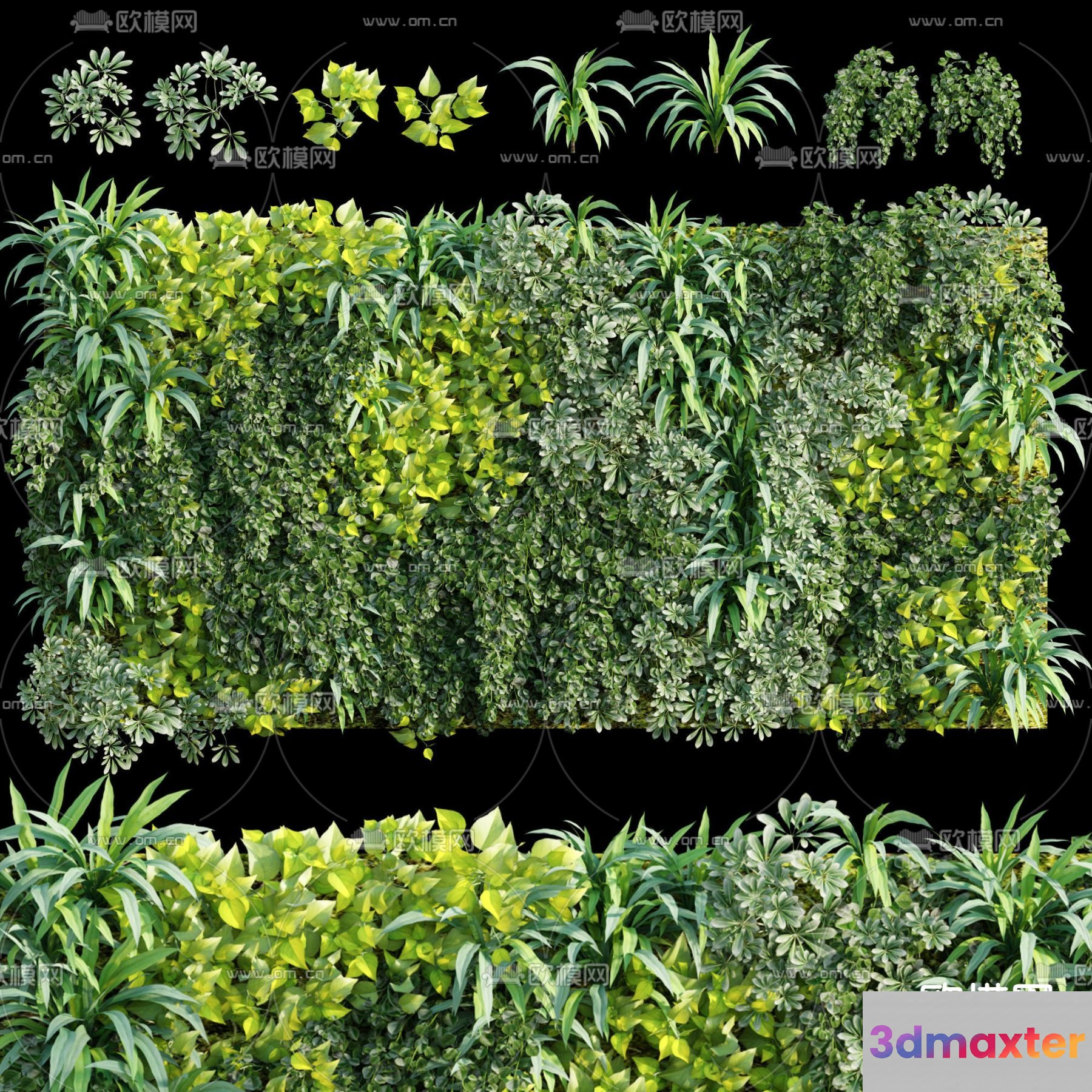 A Green Plant Wall 3D Model - 1274 - VRAY Render