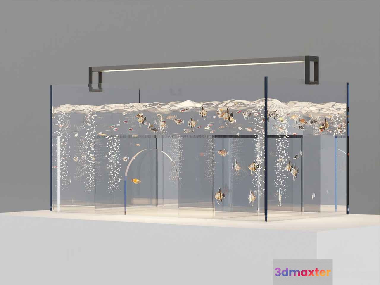 Aquarium With Fish 3D Model - 1646 - VRAY Render
