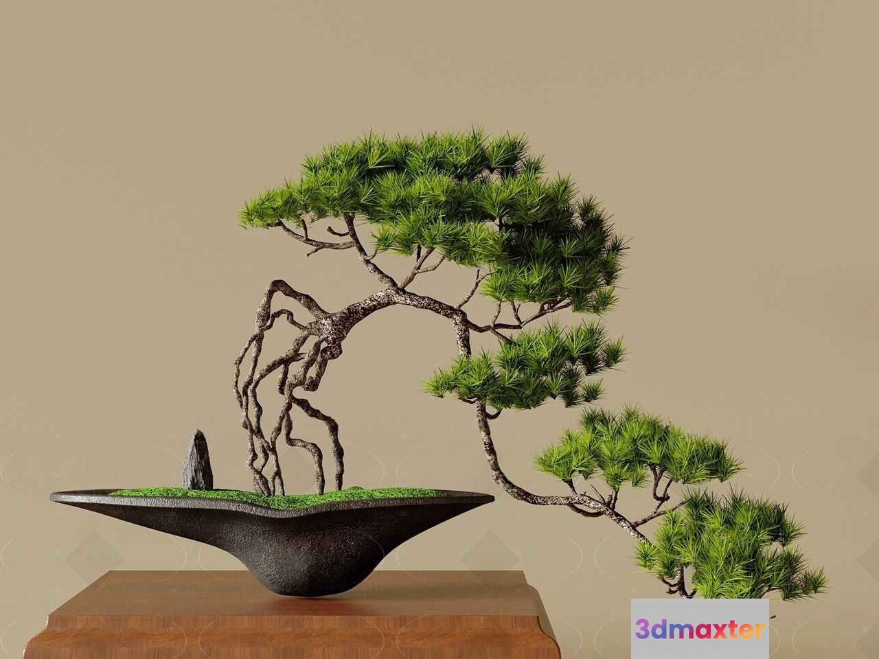 A Bonsai Tree 3D Model - 13722 - VRAY Render