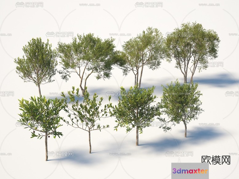 Small Trees 3D Model - 16274 - VRAY Render