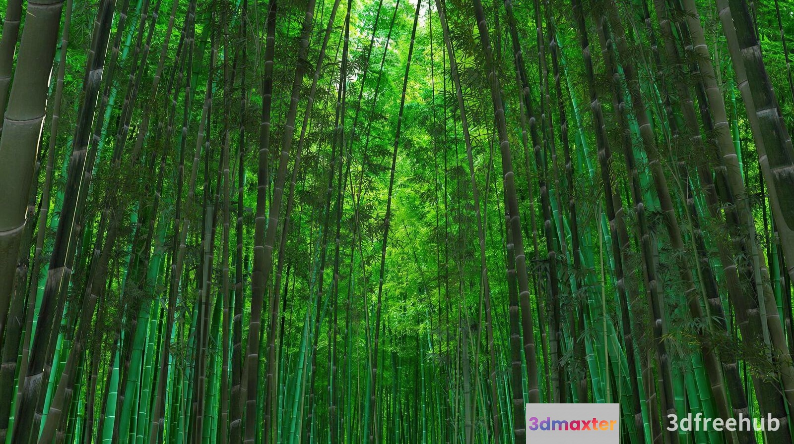 A Bamboo Forest With Green Stalks 3D Model - 22582 - VRAY Render