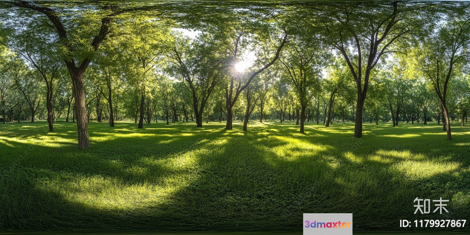 A Forest Scene With Green Trees 3D Model - 3157 - VRAY Render