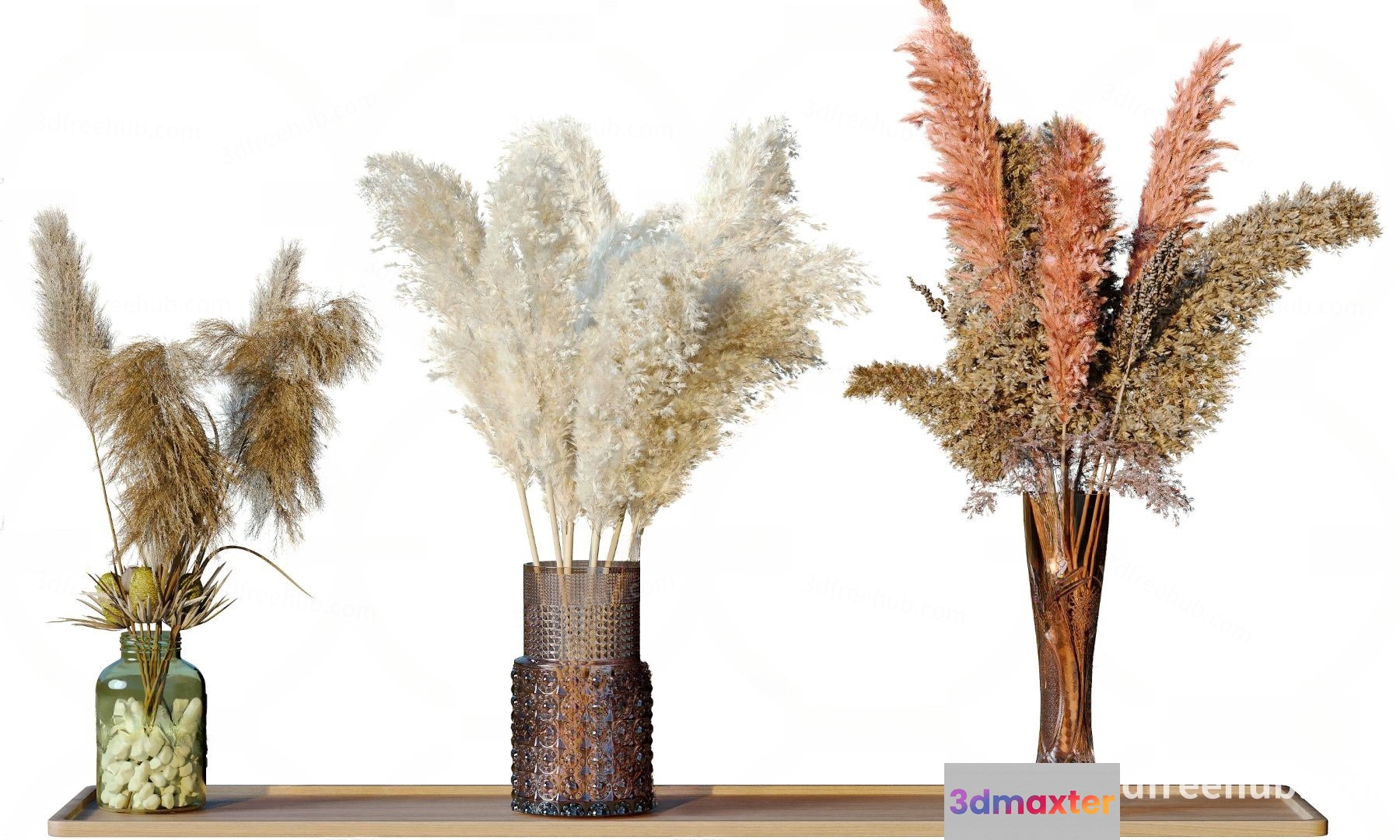 A Collection Of Pampas Grass 3D Model - 22626 - VRAY Render