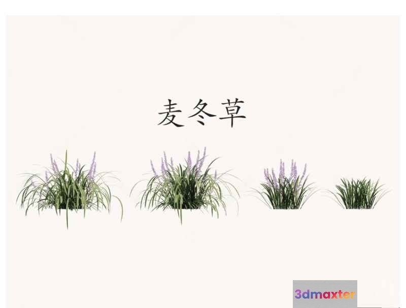 A Plant With Purple Flowers 3D Model - 22346 - VRAY Render