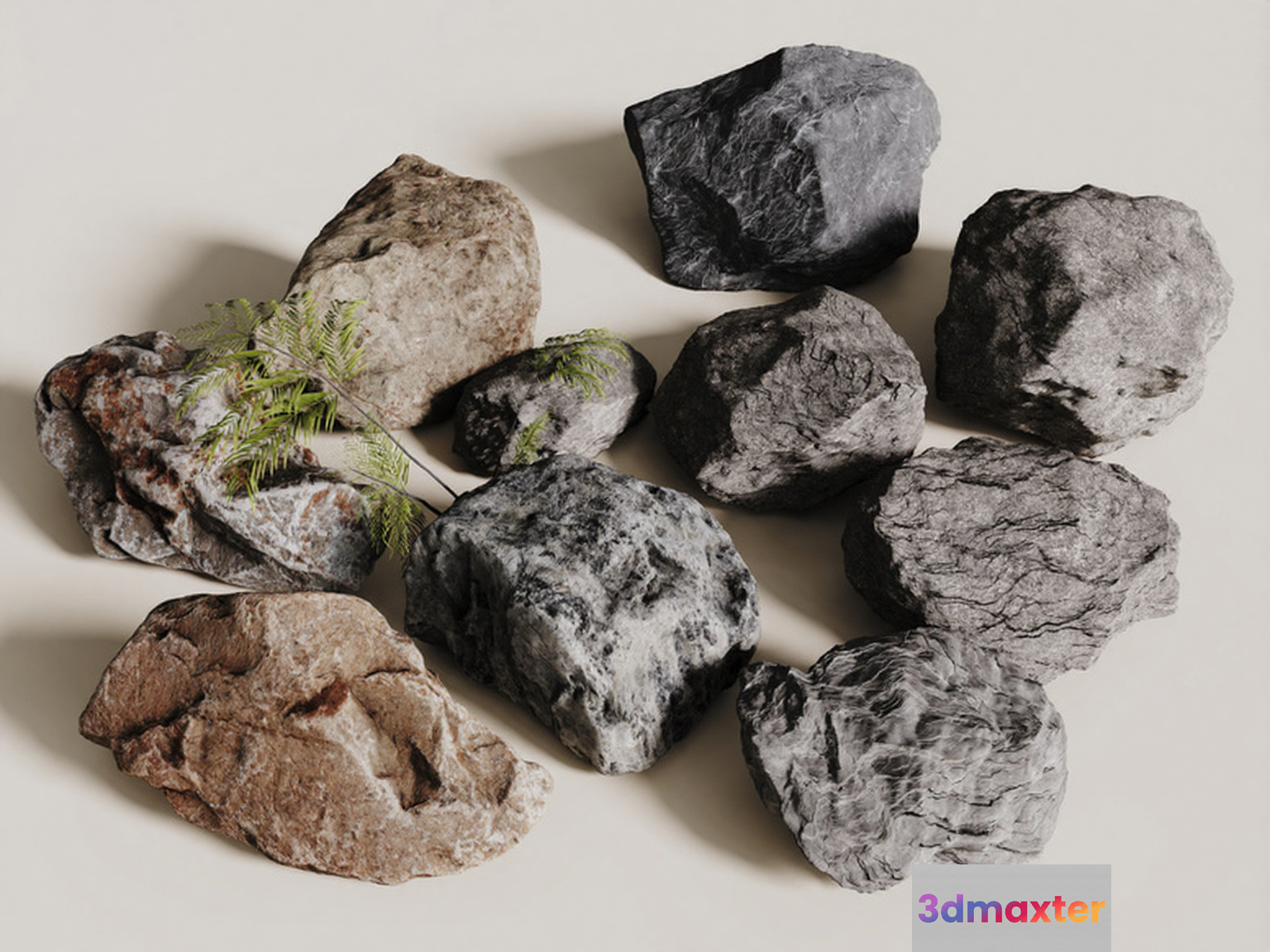 Rocks With A Plant 3D Model - 12037 - CORONA Render