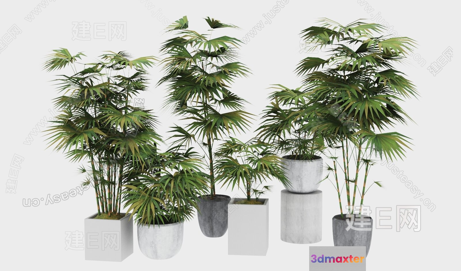 Potted Palm Trees 3D Model - 16318 - VRAY Render