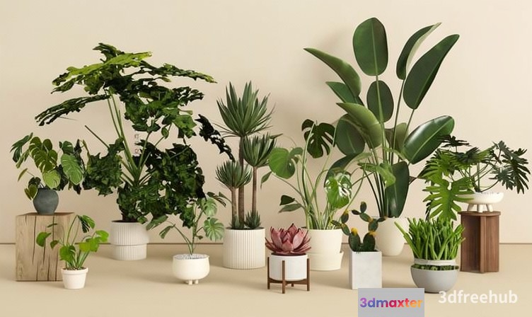 Potted Plants 3D Model - 20797 - VRAY Render
