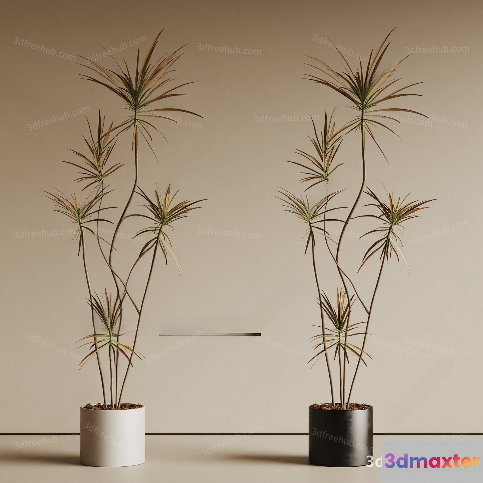 Two Potted Plants 3D Model - 20855 - VRAY Render