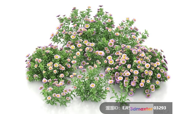 A Cluster Of Small Flowers With Green Leaves 3D Model - 7487 - VRAY Render