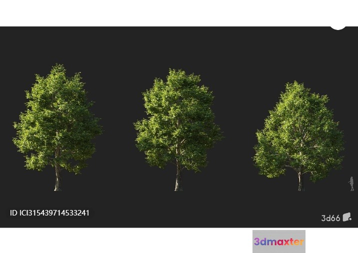 Trees With Green Leaves 3D Model - 7284 - VRAY Render