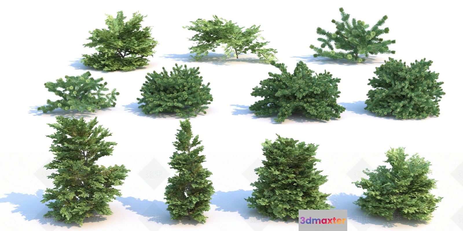 Small Green Trees 3D Model - 14698 - VRAY Render