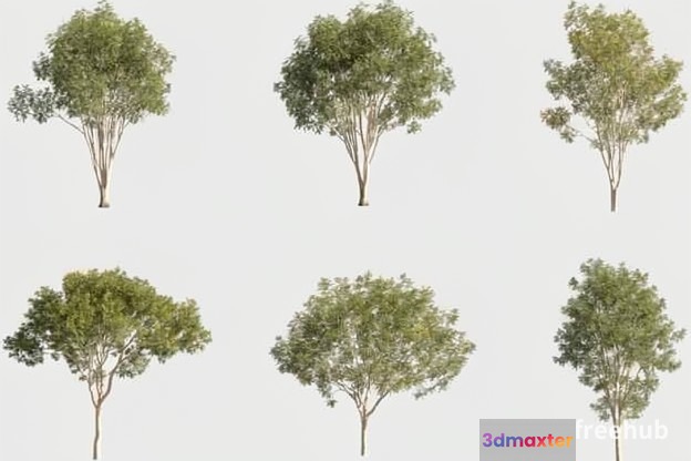 A Tree 3D Model - 21204 - VRAY Render