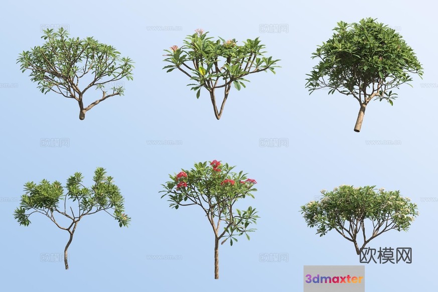 The Image Features A Collection Of Trees 3D Model - 17096 - VRAY Render