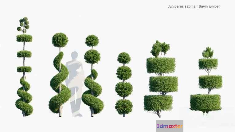 A Set Of Topiary Trees 3D Model - 9059 - VRAY Render