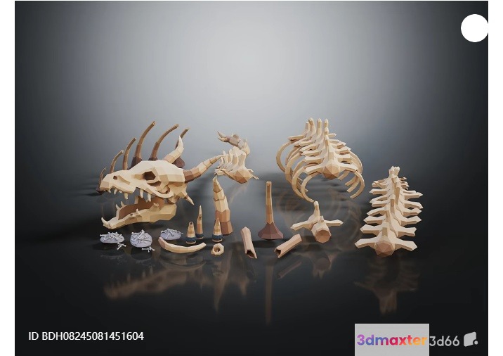 3D Model Of A Dinosaur Skeleton 3D Model - 5422 - VRAY Render